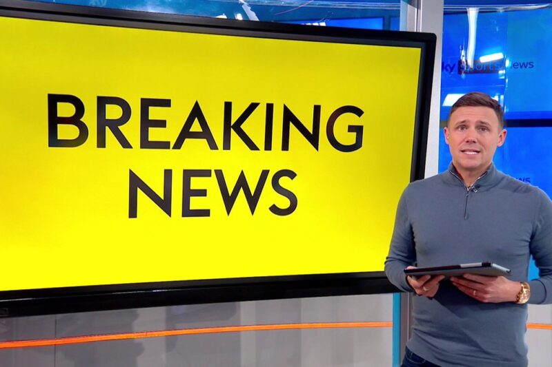 Newcastle immediately agree to sign World Cup star with Sandro Tonali money from Spurs